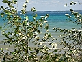 Western Michigan [2010] 567